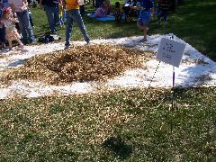 Candy in the haystack